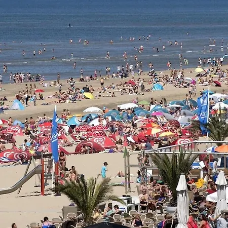 Seas The Day Apartment Zandvoort